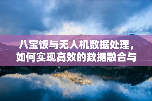 八宝饭与无人机数据处理，如何实现高效的数据融合与存储？