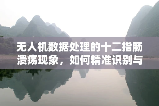 无人机数据处理的十二指肠溃疡现象，如何精准识别与应对？