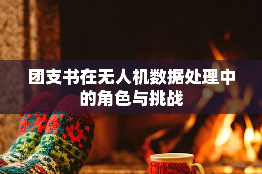团支书在无人机数据处理中的角色与挑战
