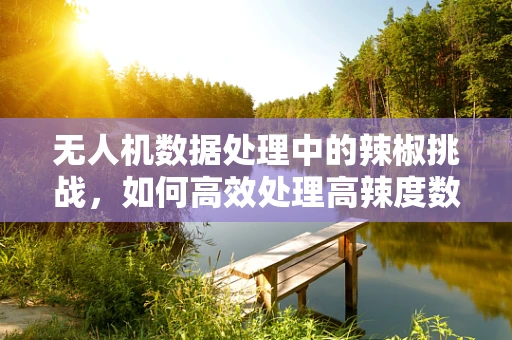 无人机数据处理中的辣椒挑战，如何高效处理高辣度数据？