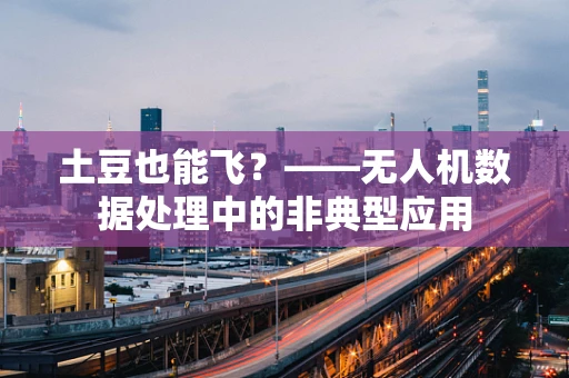 土豆也能飞？——无人机数据处理中的非典型应用