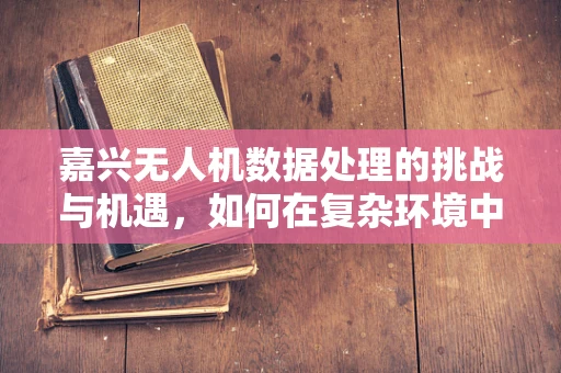 嘉兴无人机数据处理的挑战与机遇，如何在复杂环境中优化飞行任务？