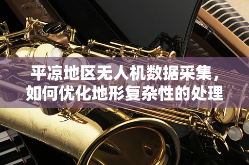 平凉地区无人机数据采集，如何优化地形复杂性的处理策略？