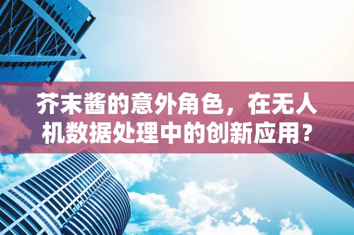 芥末酱的意外角色，在无人机数据处理中的创新应用？