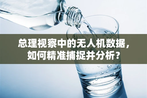 总理视察中的无人机数据，如何精准捕捉并分析？