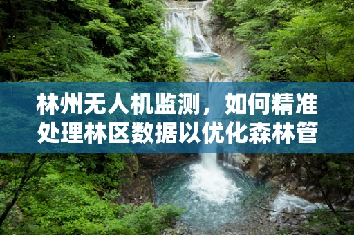 林州无人机监测，如何精准处理林区数据以优化森林管理？