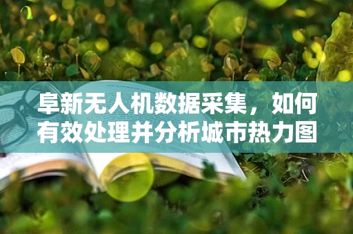 阜新无人机数据采集，如何有效处理并分析城市热力图？