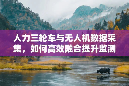 人力三轮车与无人机数据采集，如何高效融合提升监测精度？