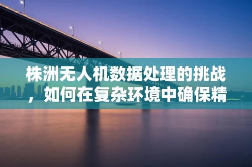 株洲无人机数据处理的挑战，如何在复杂环境中确保精准飞行？