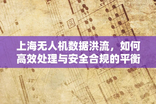 上海无人机数据洪流，如何高效处理与安全合规的平衡？