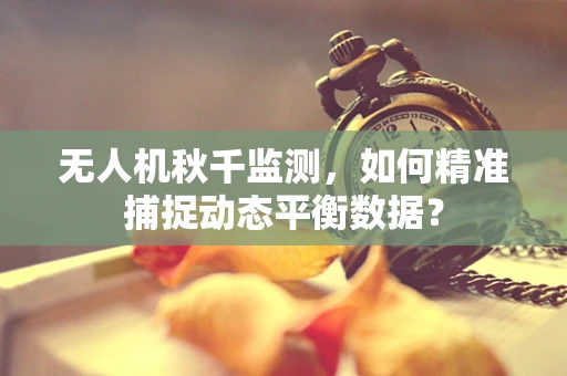 无人机秋千监测，如何精准捕捉动态平衡数据？