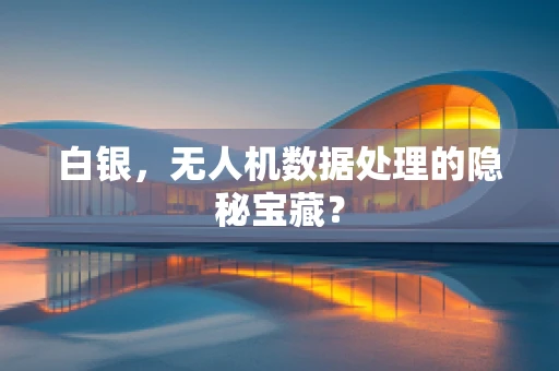 白银，无人机数据处理的隐秘宝藏？