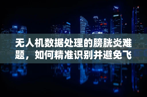 无人机数据处理的膀胱炎难题，如何精准识别并避免飞行中的尿急现象？