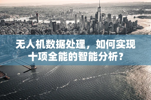 无人机数据处理，如何实现十项全能的智能分析？