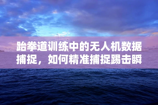 跆拳道训练中的无人机数据捕捉，如何精准捕捉踢击瞬间？
