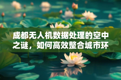 成都无人机数据处理的空中之谜，如何高效整合城市环境信息？