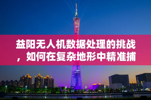 益阳无人机数据处理的挑战，如何在复杂地形中精准捕捉？