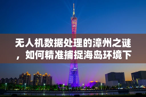无人机数据处理的漳州之谜，如何精准捕捉海岛环境下的细微变化？