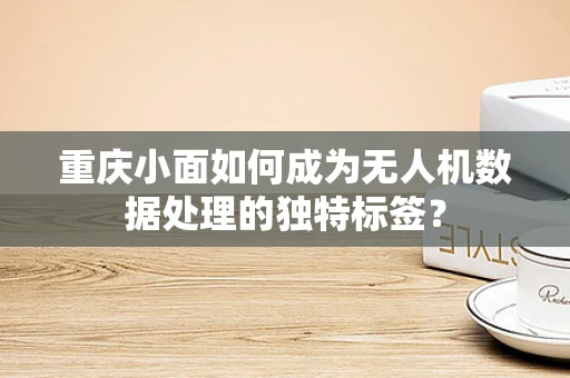 重庆小面如何成为无人机数据处理的独特标签？