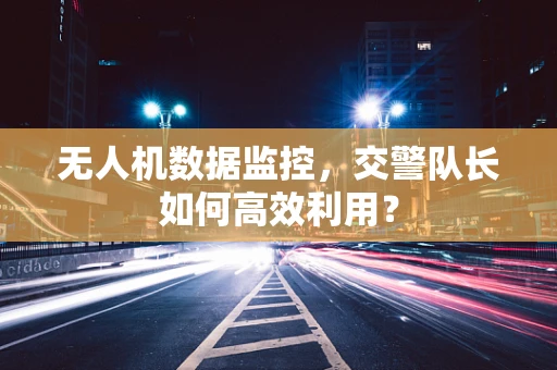 无人机数据监控，交警队长如何高效利用？
