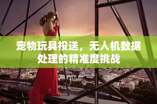 宠物玩具投送，无人机数据处理的精准度挑战