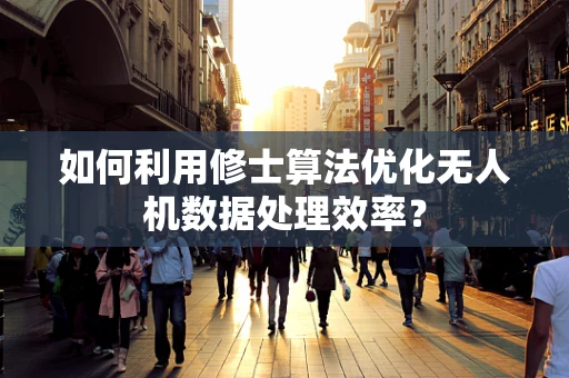 如何利用修士算法优化无人机数据处理效率？