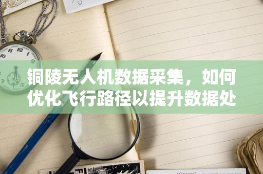 铜陵无人机数据采集，如何优化飞行路径以提升数据处理效率？