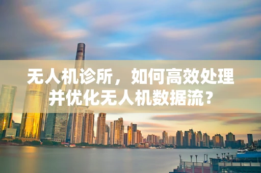无人机诊所，如何高效处理并优化无人机数据流？