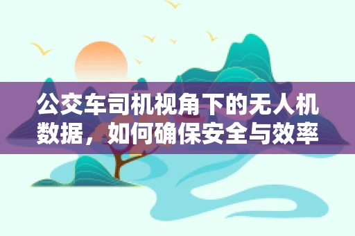 公交车司机视角下的无人机数据，如何确保安全与效率的完美融合？