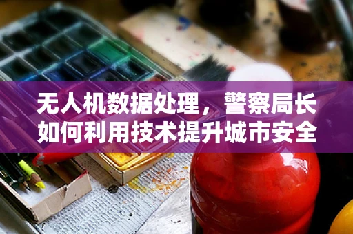 无人机数据处理，警察局长如何利用技术提升城市安全？