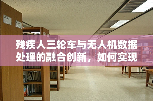 残疾人三轮车与无人机数据处理的融合创新，如何实现精准辅助？