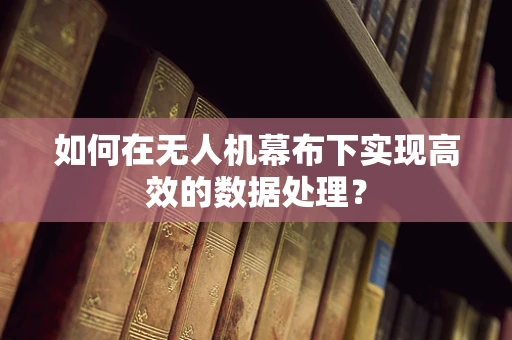 如何在无人机幕布下实现高效的数据处理？