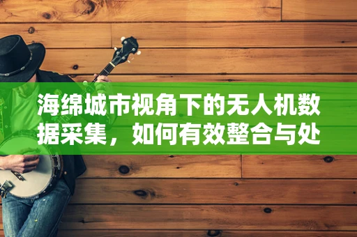 海绵城市视角下的无人机数据采集，如何有效整合与处理？