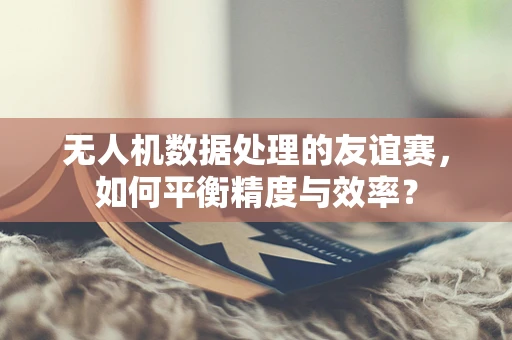 无人机数据处理的友谊赛，如何平衡精度与效率？