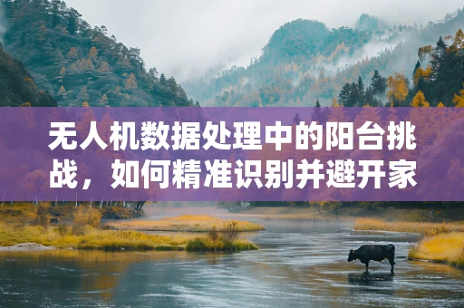 无人机数据处理中的阳台挑战，如何精准识别并避开家庭环境中的阳台？