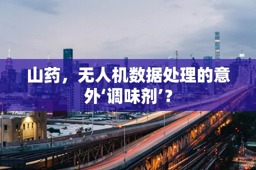 山药，无人机数据处理的意外‘调味剂’？