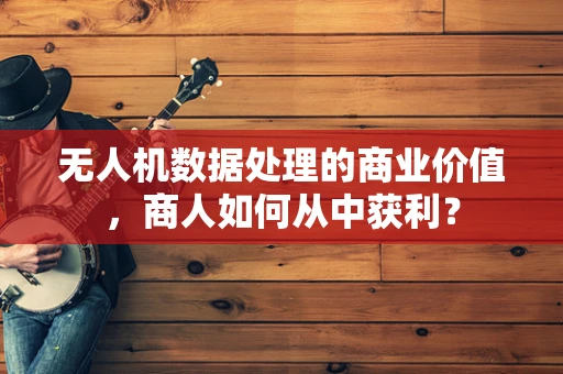 无人机数据处理的商业价值，商人如何从中获利？