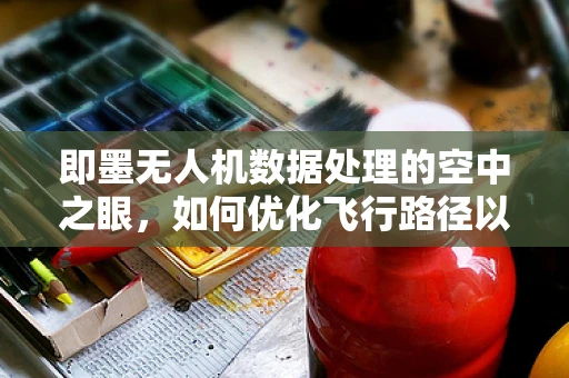 即墨无人机数据处理的空中之眼，如何优化飞行路径以提升数据采集效率？