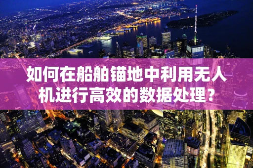 如何在船舶锚地中利用无人机进行高效的数据处理？