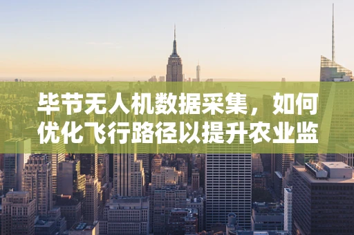 毕节无人机数据采集，如何优化飞行路径以提升农业监测效率？