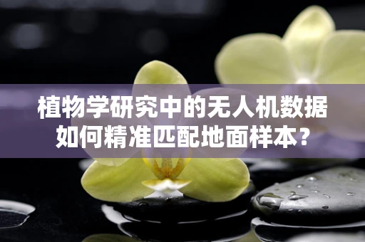 植物学研究中的无人机数据如何精准匹配地面样本？
