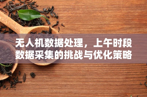 无人机数据处理，上午时段数据采集的挑战与优化策略