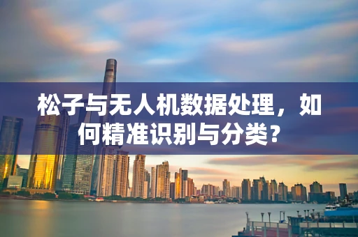 松子与无人机数据处理，如何精准识别与分类？