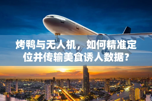 烤鸭与无人机，如何精准定位并传输美食诱人数据？