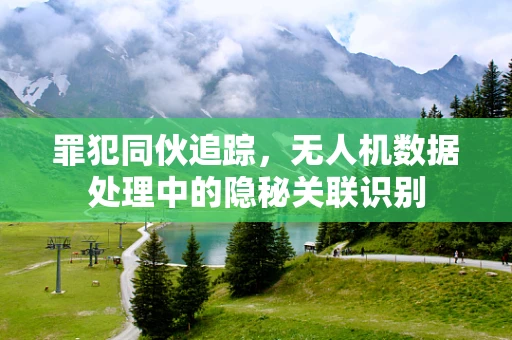 罪犯同伙追踪，无人机数据处理中的隐秘关联识别