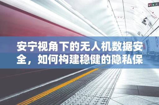 安宁视角下的无人机数据安全，如何构建稳健的隐私保护机制？
