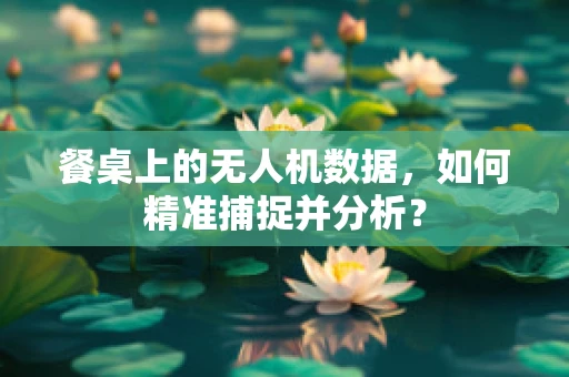 餐桌上的无人机数据，如何精准捕捉并分析？