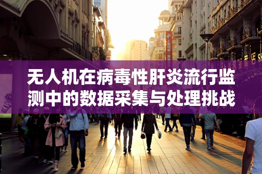 无人机在病毒性肝炎流行监测中的数据采集与处理挑战