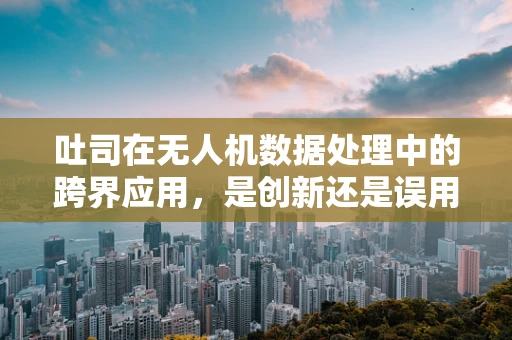 吐司在无人机数据处理中的跨界应用，是创新还是误用？