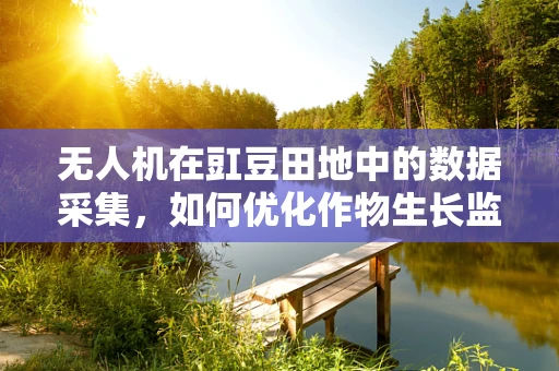 无人机在豇豆田地中的数据采集，如何优化作物生长监测的精度？